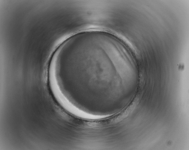 X0000102001413200808151436