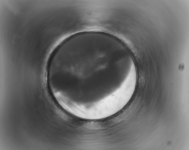 X0000102001414200808151436