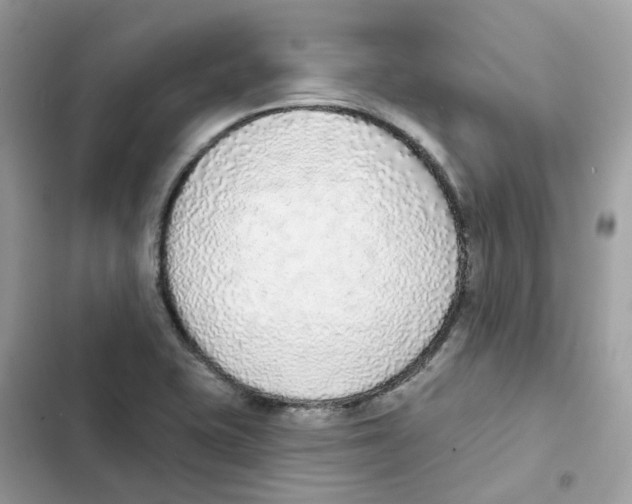 X0000102001415200808151436