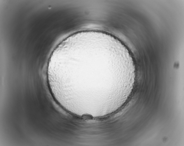 X0000102001421200808151437