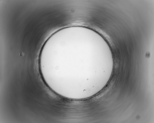 X0000102001423200808151437