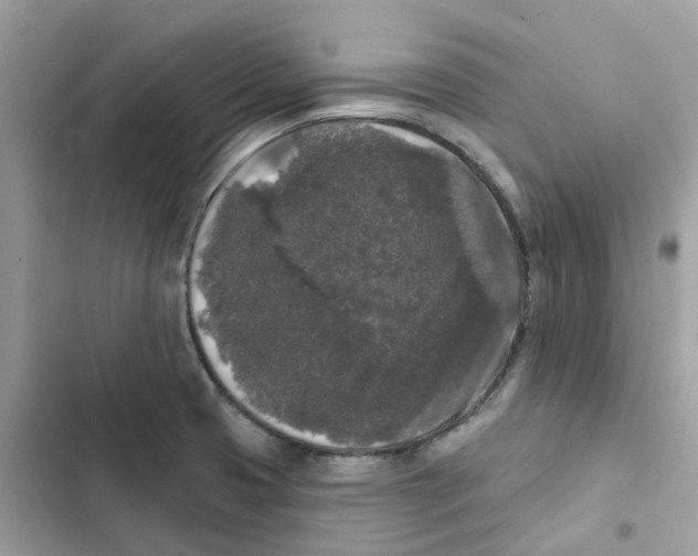 X0000102001425200808151437