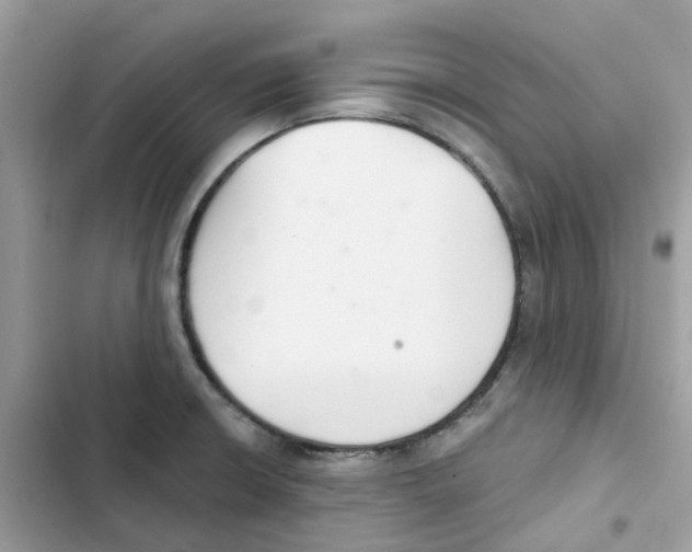 X0000102001426200808151437