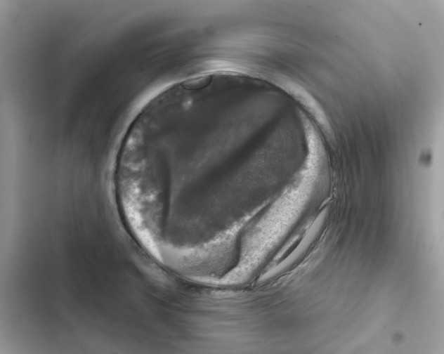 X0000102001427200808151437