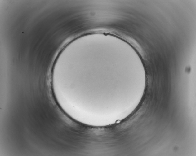 X0000102001428200808151437