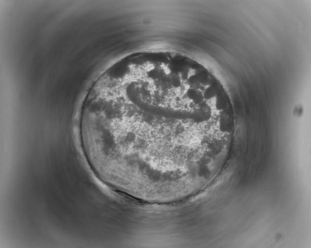 X0000102001429200808151437