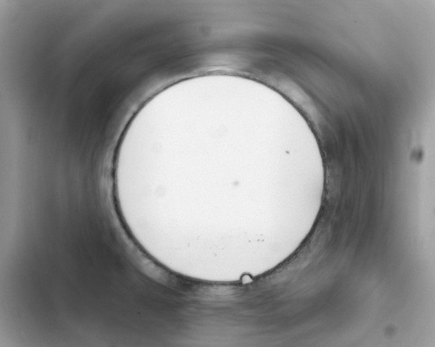 X0000102001431200808151437