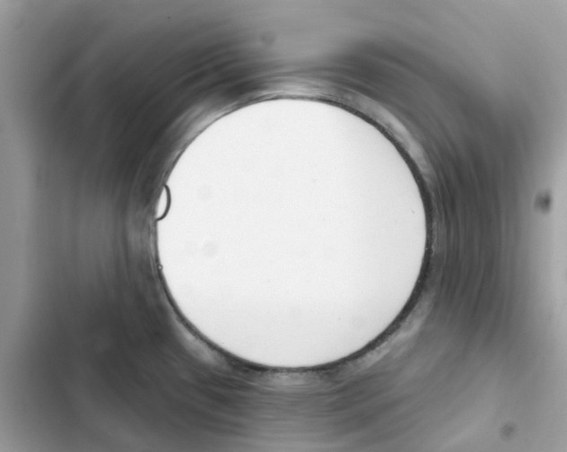 X0000102001433200808151437