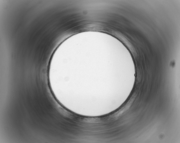 X0000102001434200808151437