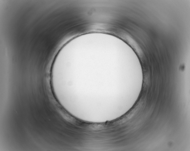 X0000102001435200808151437