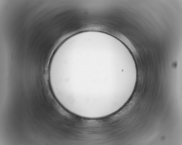 X0000102001436200808151437