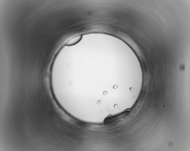 X0000102001439200808151437