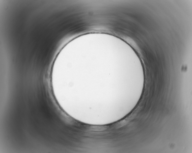 X0000102001440200808151437