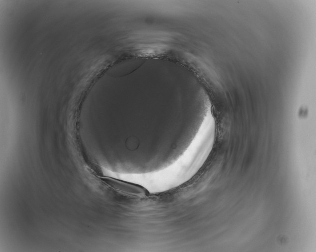 X0000102001441200808151436