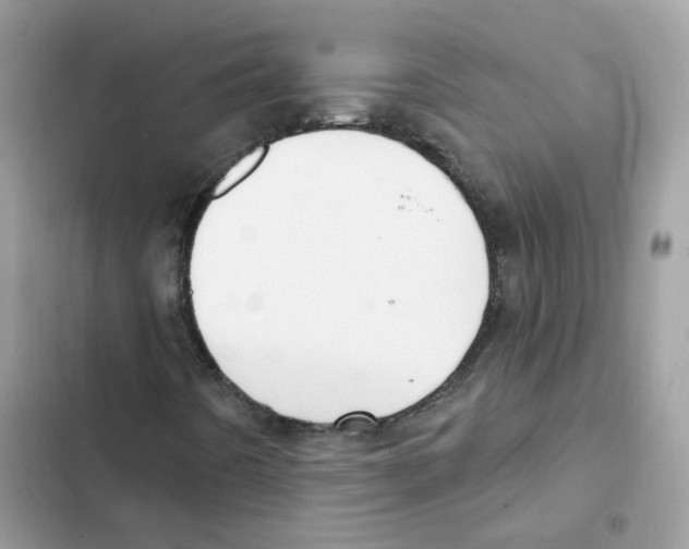 X0000102001442200808151436