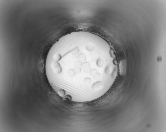 X0000102001443200808151436