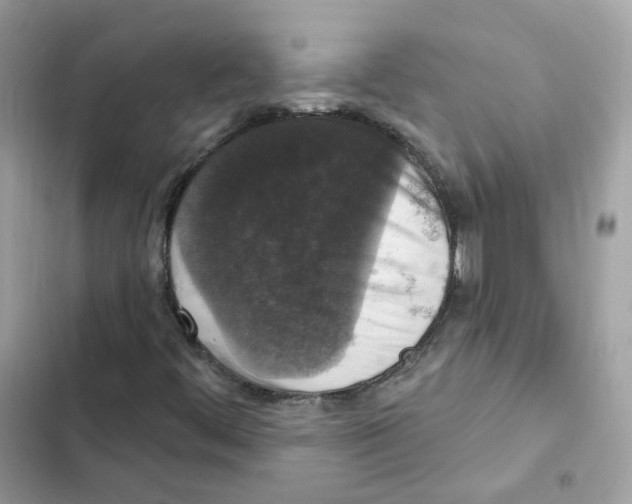 X0000102001444200808151436