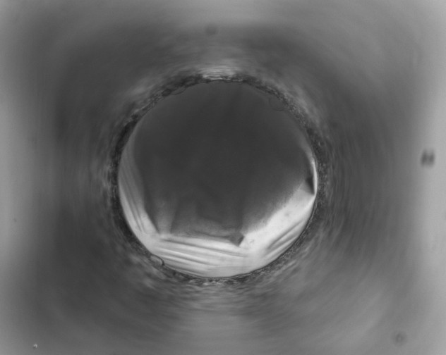 X0000102001445200808151436