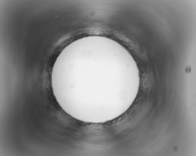 X0000102001446200808151436