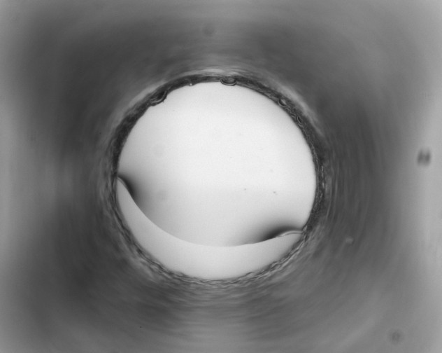 X0000102001448200808151436