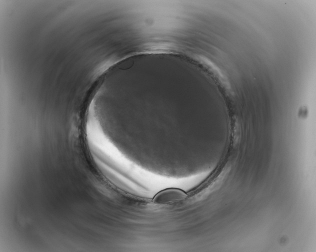 X0000102001449200808151436