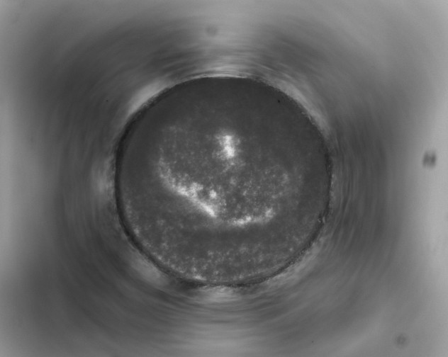 X0000102001450200808151436