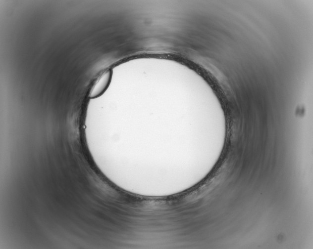 X0000102001451200808151436