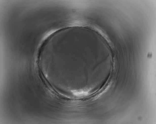 X0000102001453200808151436