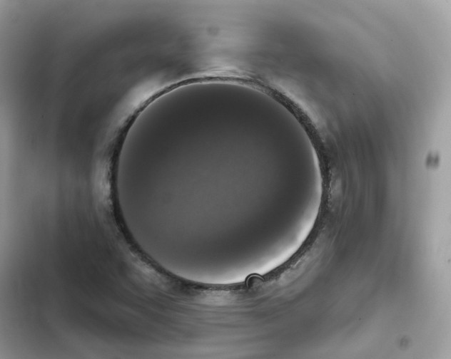 X0000102001455200808151436