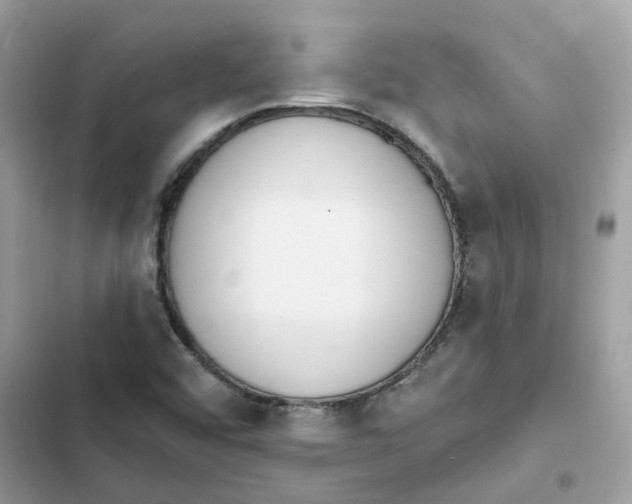 X0000102001456200808151436