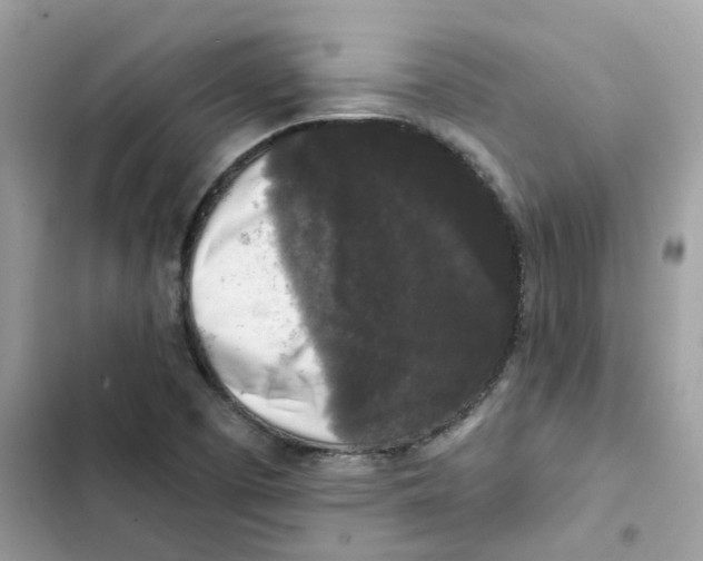 X0000102001457200808151436