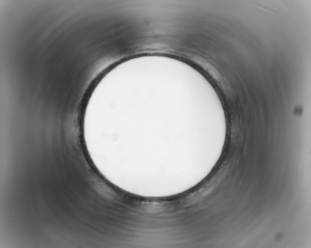 X0000102001458200808151436