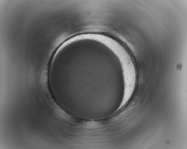 X0000102001459200808151436