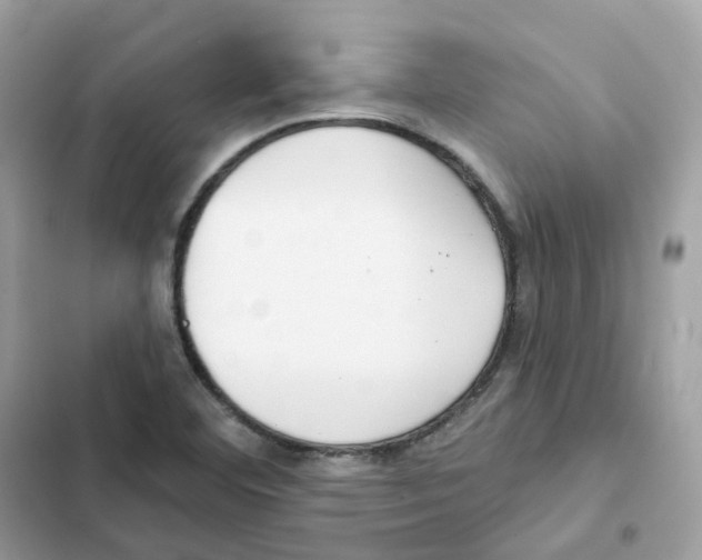 X0000102001460200808151436