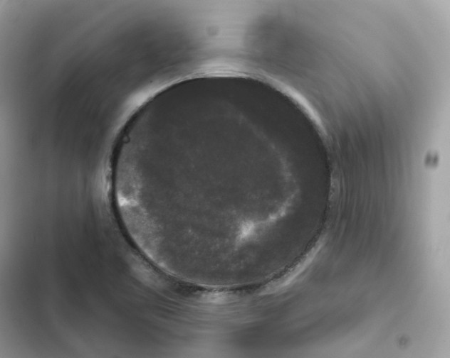 X0000102001461200808151436