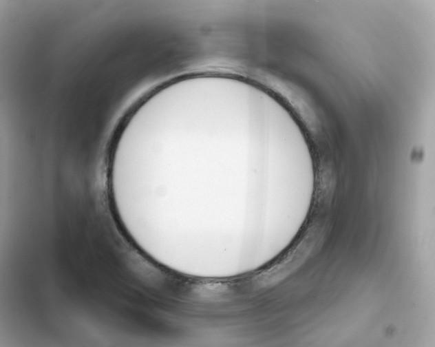 X0000102001462200808151436