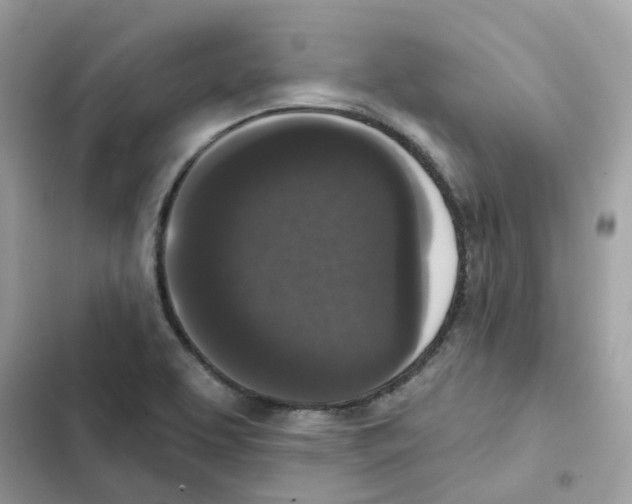 X0000102001463200808151436