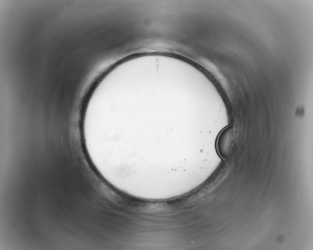 X0000102001464200808151436