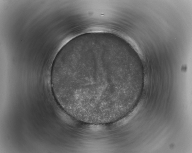 X0000102001465200808151436