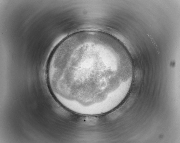 X0000102001466200808151436