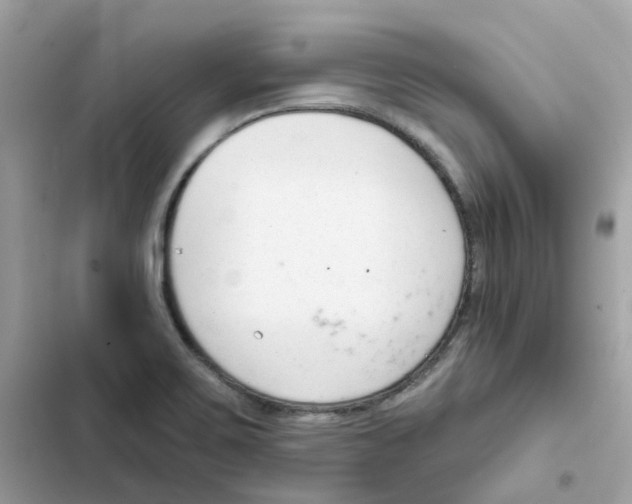 X0000102001467200808151436