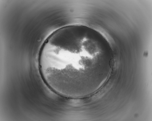 X0000102001468200808151436