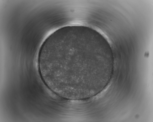 X0000102001469200808151436