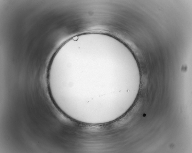 X0000102001470200808151436