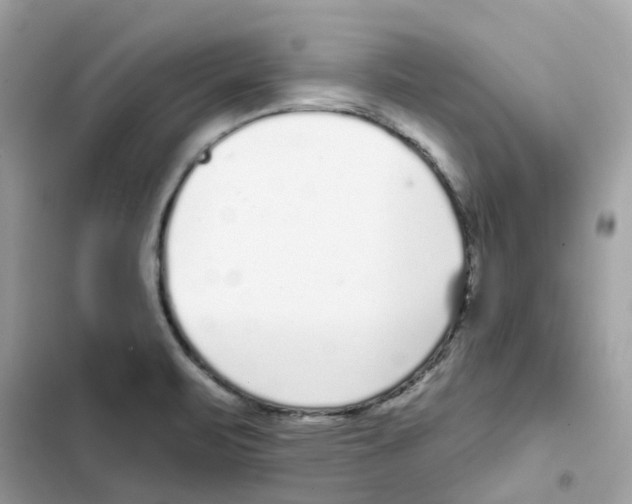 X0000102001471200808151436