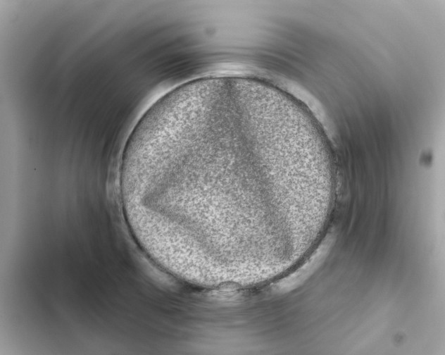 X0000102001473200808151436