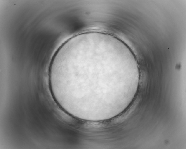 X0000102001474200808151436