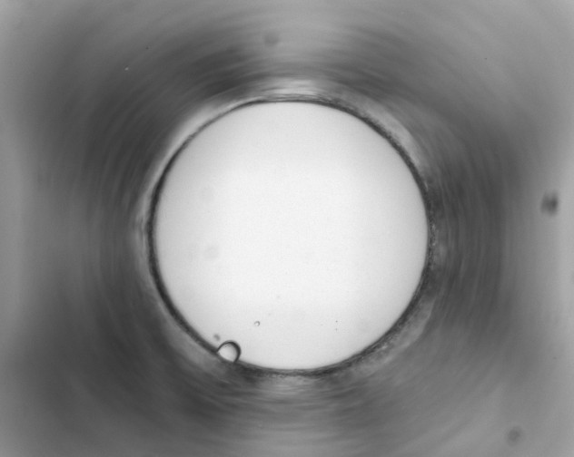 X0000102001475200808151436