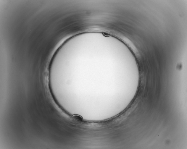 X0000102001476200808151436