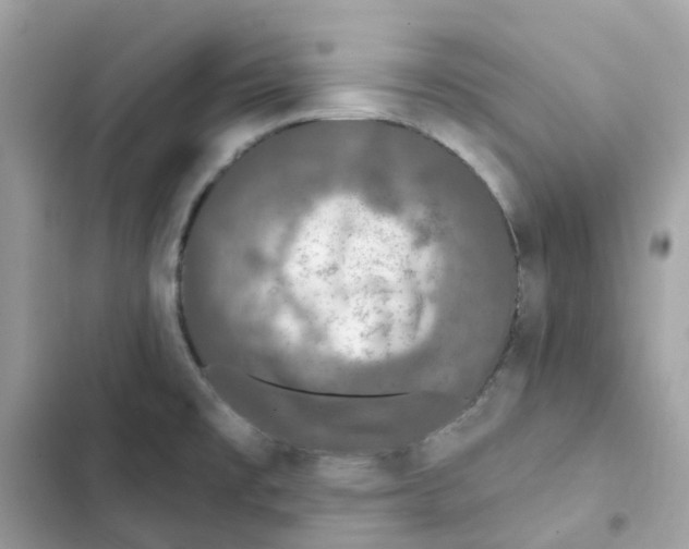 X0000102001477200808151436